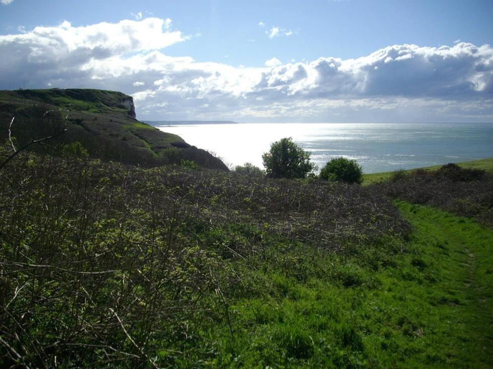 Villa Les Falaises Berneval-le-Grand Eksteriør billede