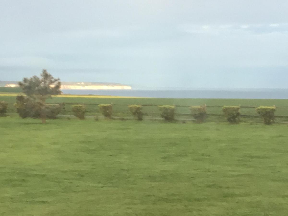 Villa Les Falaises Berneval-le-Grand Eksteriør billede