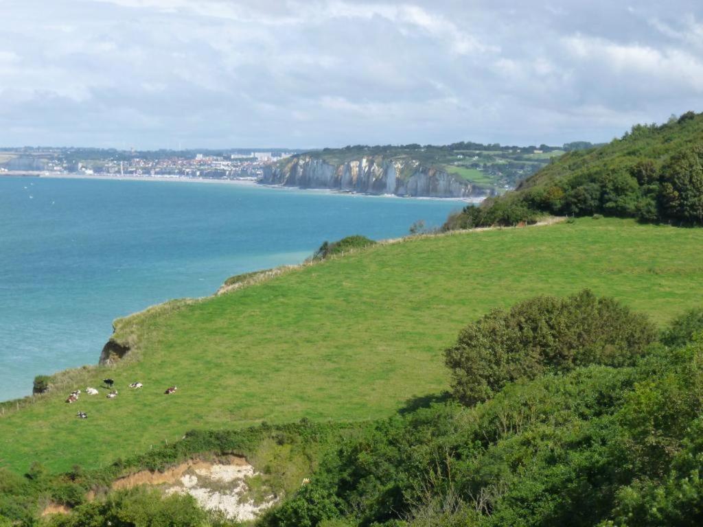 Villa Les Falaises Berneval-le-Grand Eksteriør billede