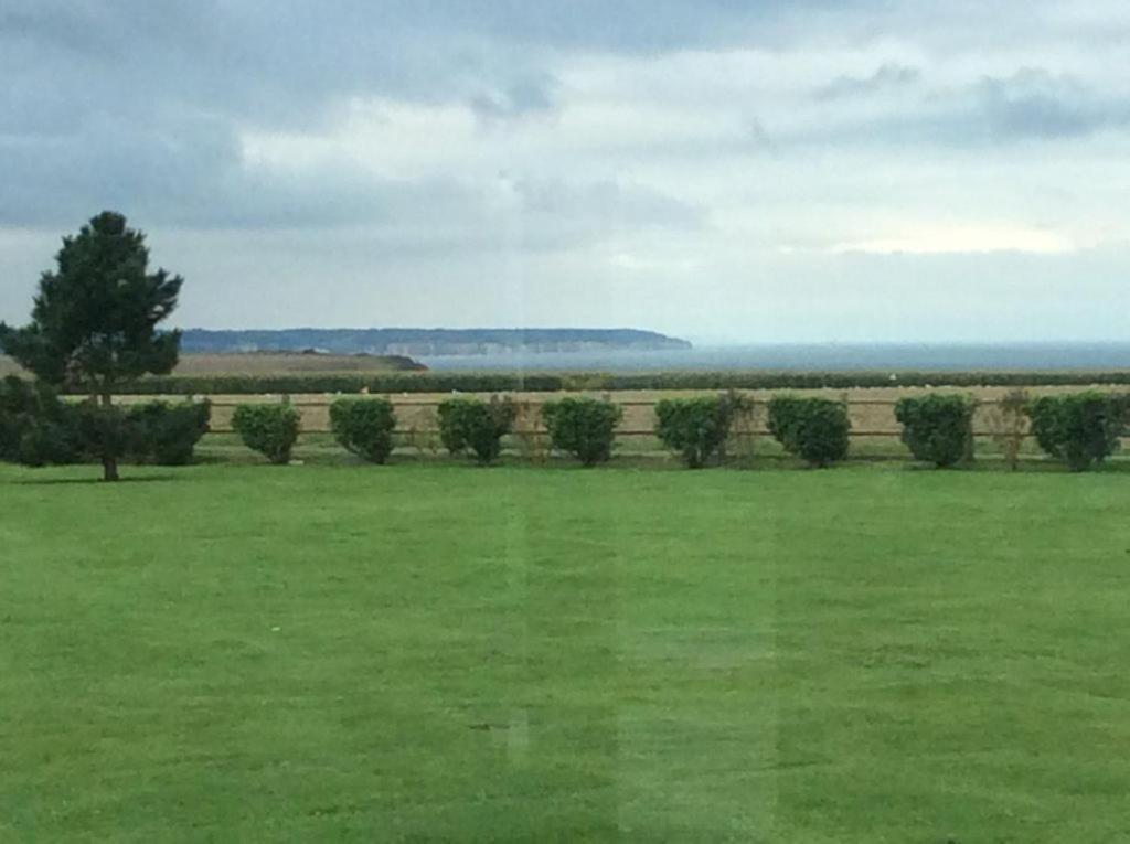 Villa Les Falaises Berneval-le-Grand Eksteriør billede