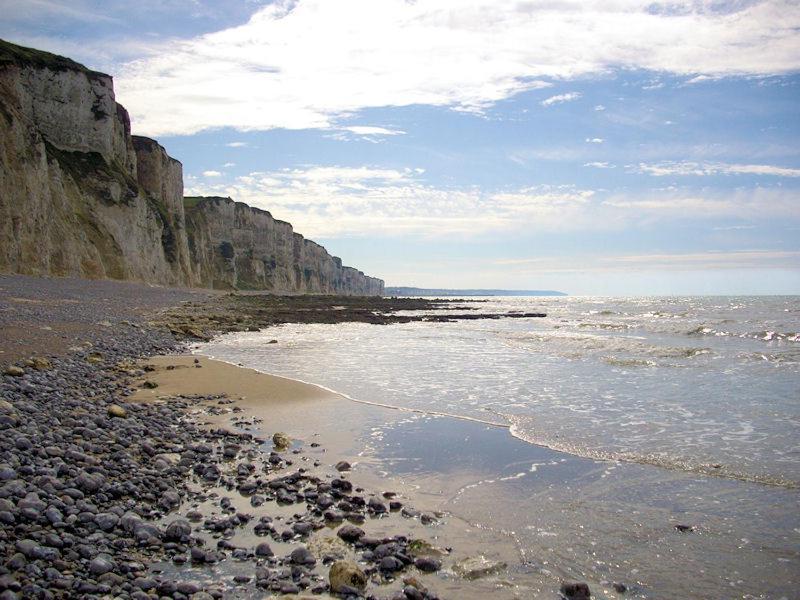 Villa Les Falaises Berneval-le-Grand Eksteriør billede